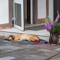 johanni_1219feier - 23.jpg