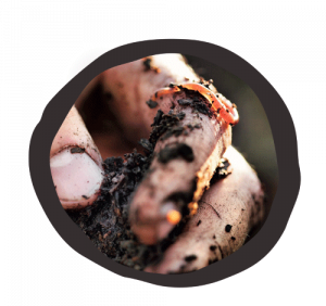 Composting