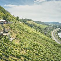 Weingut-Am-Stein-2026-06_4008.jpg