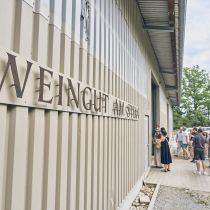 Weingut-Am-Stein-2026-06_1099.jpg
