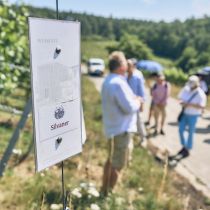 Weingut-Am-Stein-2026-06_1335.jpg