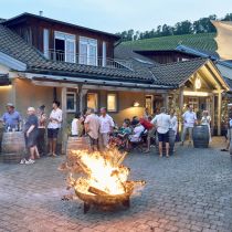 Weingut-Am-Stein-2026-06_3253.jpg
