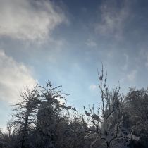 respekt-einkehr-img_2240.jpg