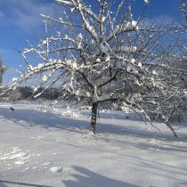 respekt-einkehr-img_2239.jpg