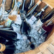Weingut-Am-Stein-2026-06_0995.jpg