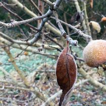einkehr_1219_img_0823.jpg