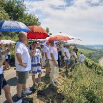 Weingut-Am-Stein-2026-06_1401.jpg