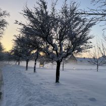 respekt-einkehr-img_2275.jpg