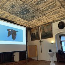 respekt-jeinkehr-2025-(c)-respekt-bodyn 9.jpg