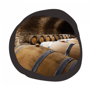 In the cellar