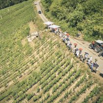 Weingut-Am-Stein-2026-06_3941.jpg