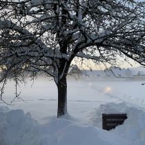 respekt-einkehr-img_2277.jpg