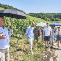 Weingut-Am-Stein-2026-06_1356.jpg